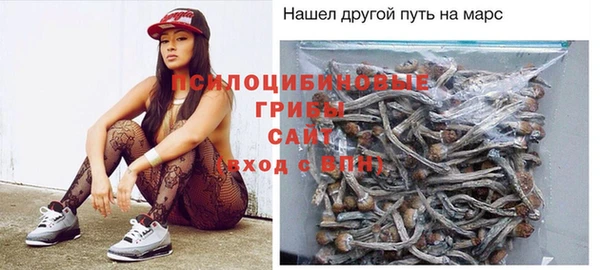 первитин Бородино